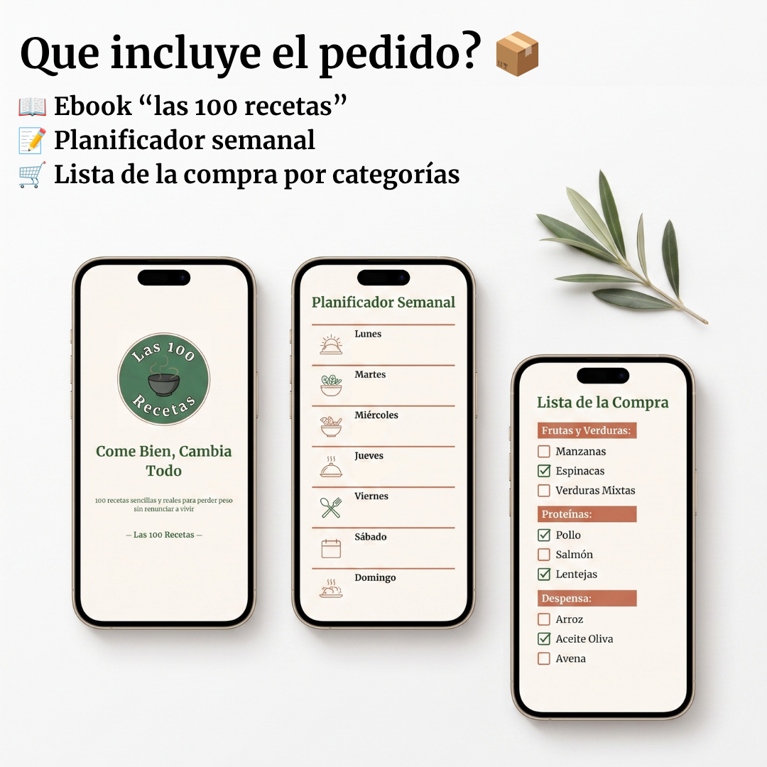 Ebook de las 100 recetas + Bonus (PDF)
