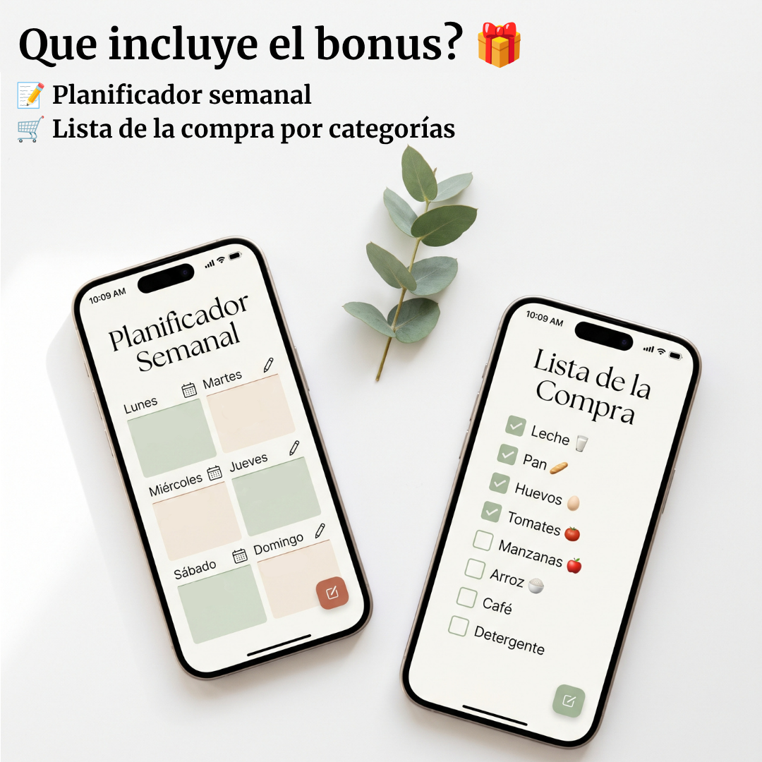 Ebook de las 100 recetas + Bonus (PDF)