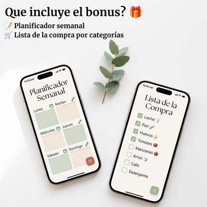 Ebook de las 100 recetas + Bonus (PDF)