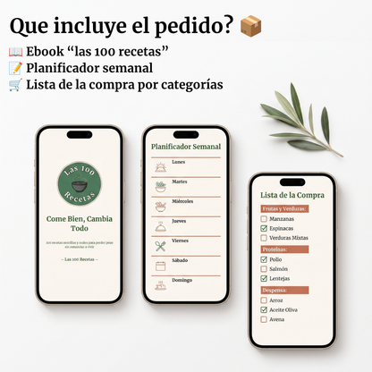 Ebook de las 100 recetas + Bonus (PDF)